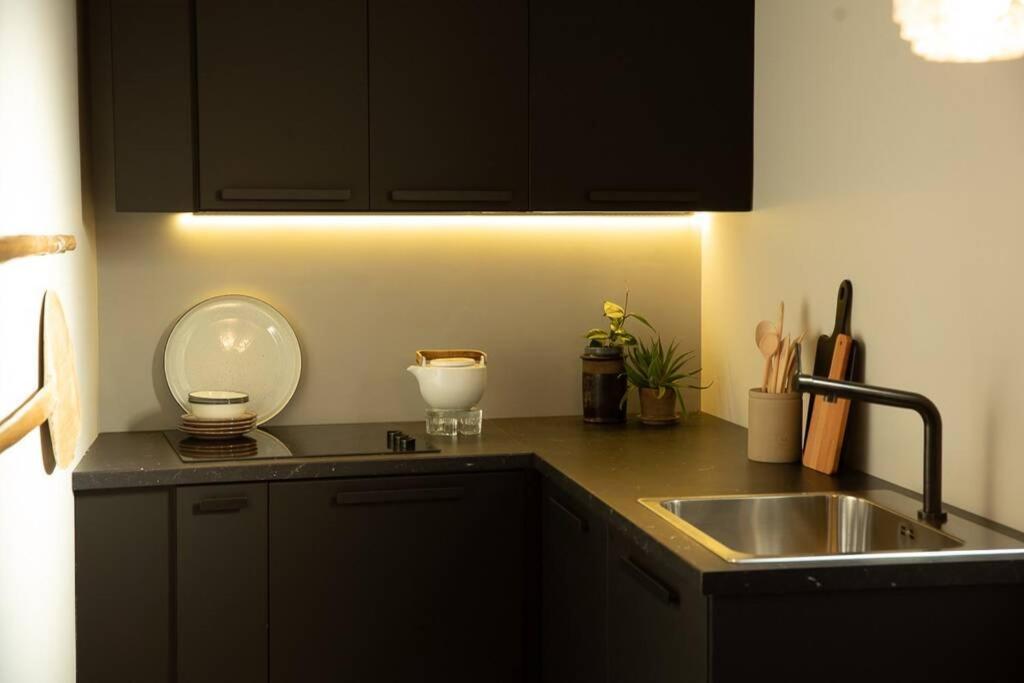 Zen Apartment - Calea Victoriei ブカレスト エクステリア 写真
